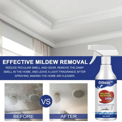 Highly Effective Mould Removal Spray - Prevents Mould Regrowth